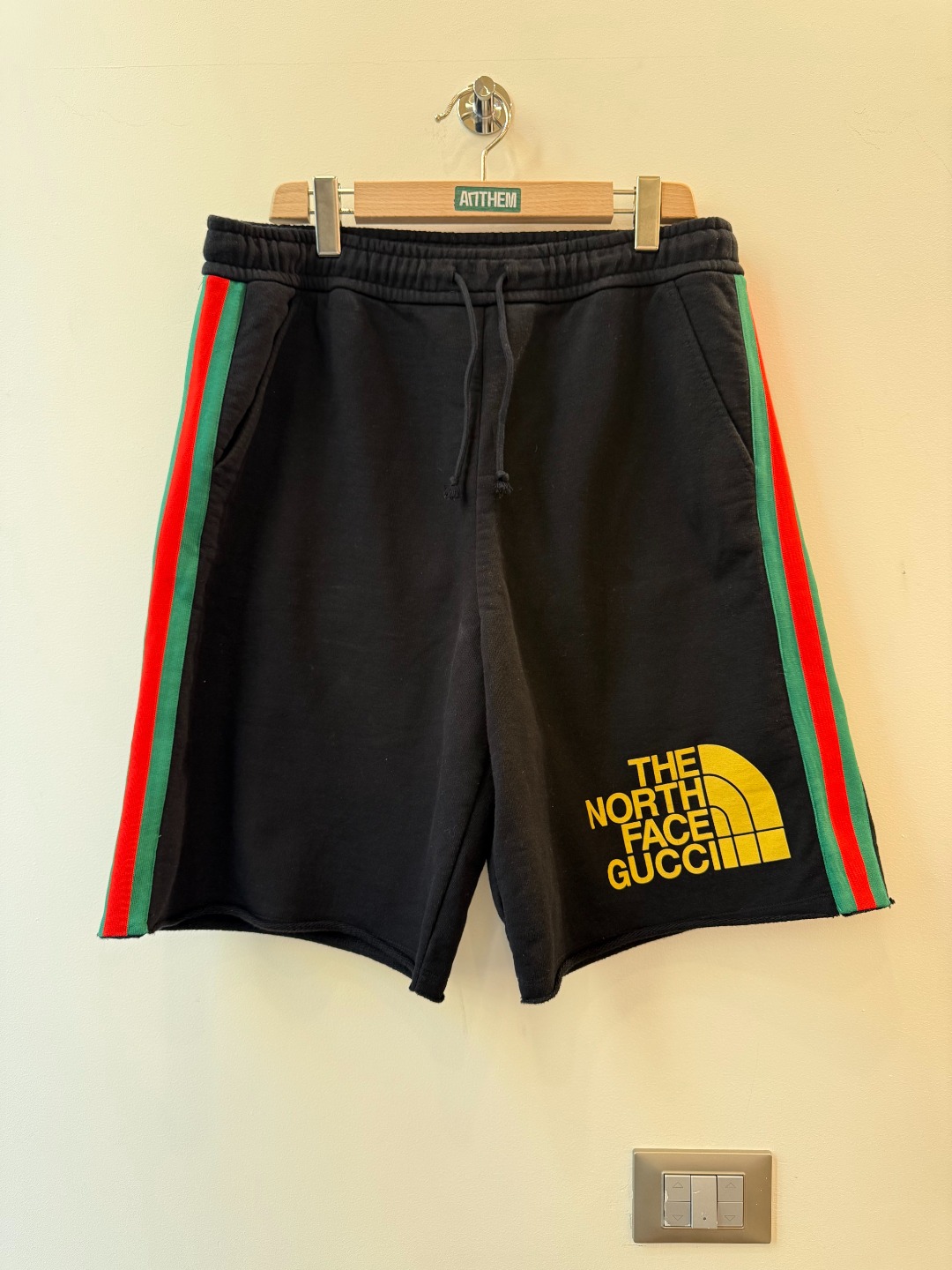 Gucci x The North Face Shorts - L